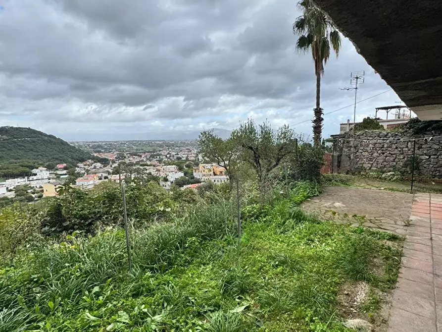 Immagine 3 di Magazzino in vendita  in VIA ROMA 11 a San Felice Circeo