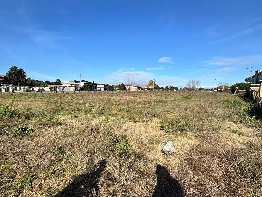 Immagine 7 di Terreno agricolo in vendita  in Via Monte Circeo 21 a San Felice Circeo