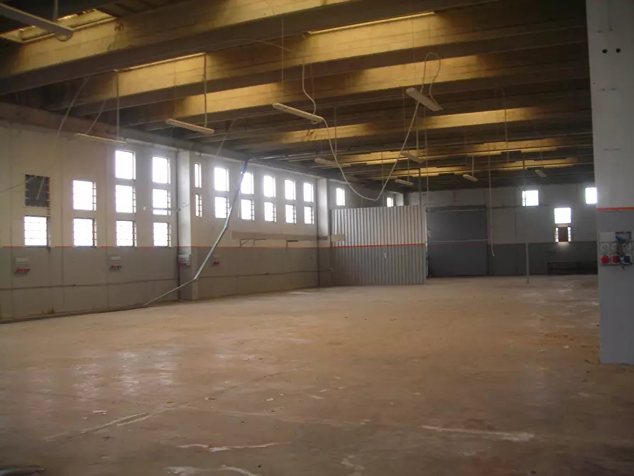 Immagine 5 di Capannone industriale in vendita  a Sabaudia