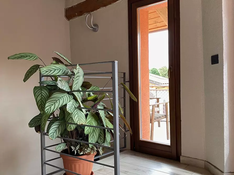 Immagine 61 di Casa semindipendente in vendita  in Via Palestro 47 a Piossasco