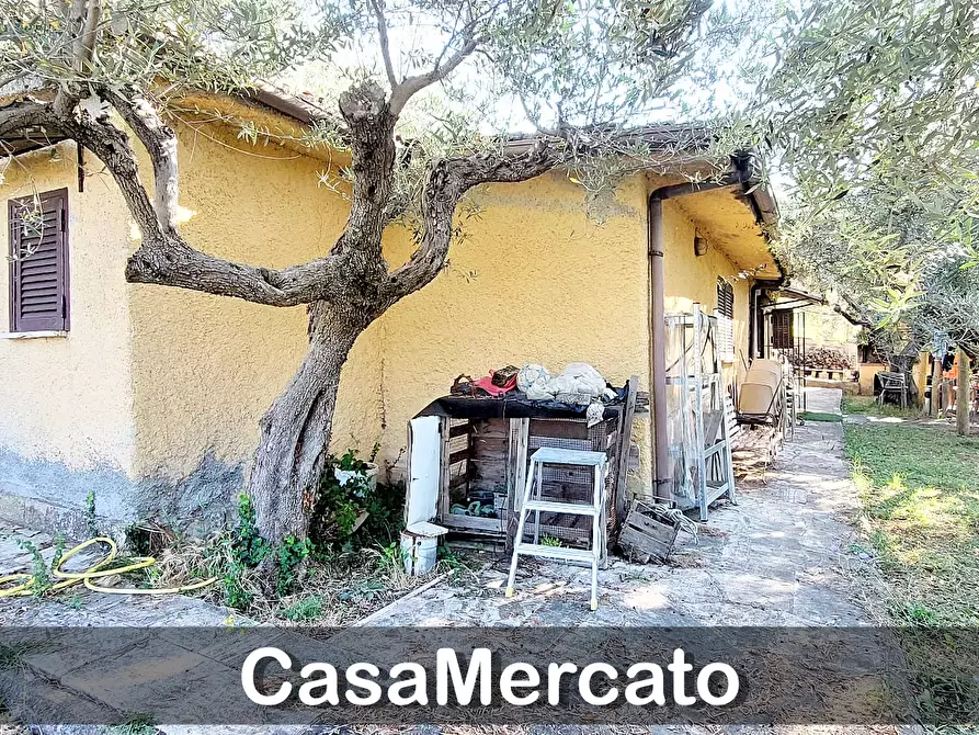 Immagine 4 di Rustico / casale in vendita  in Via del Tuscolo a Grottaferrata