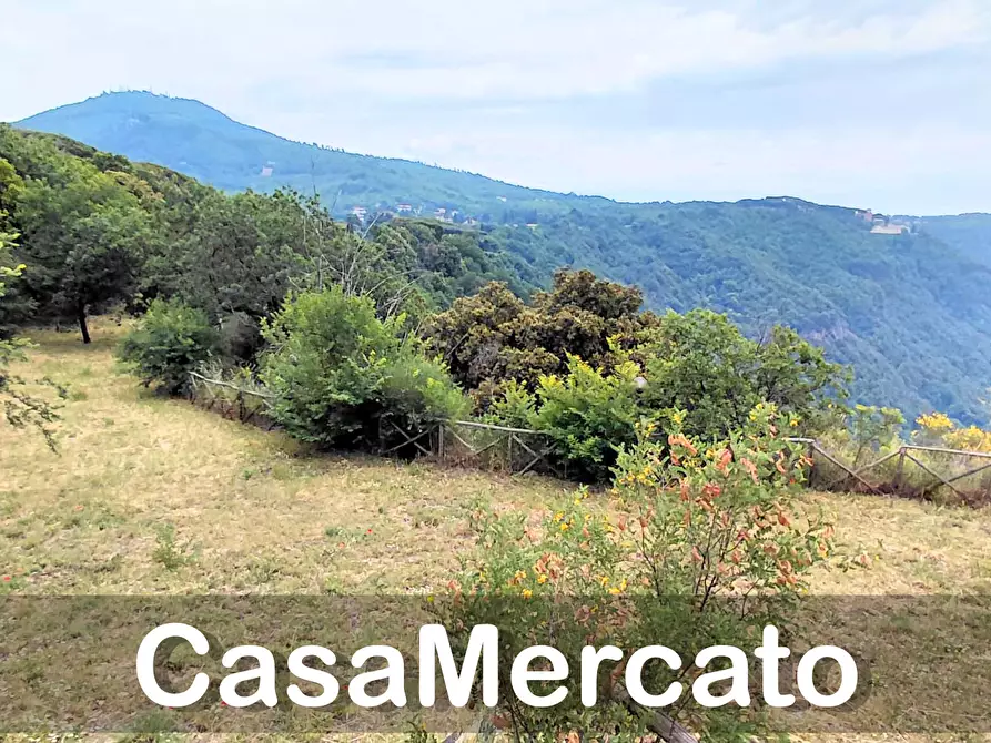 Immagine 2 di Terreno agricolo in vendita  a Rocca Di Papa