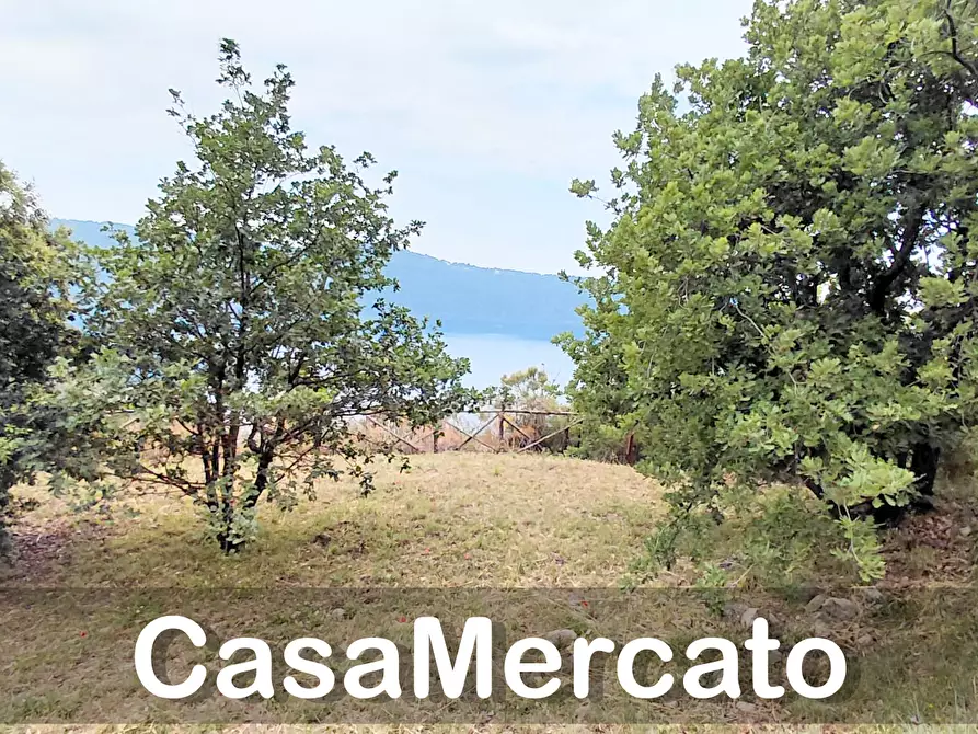 Immagine 7 di Terreno agricolo in vendita  a Rocca Di Papa