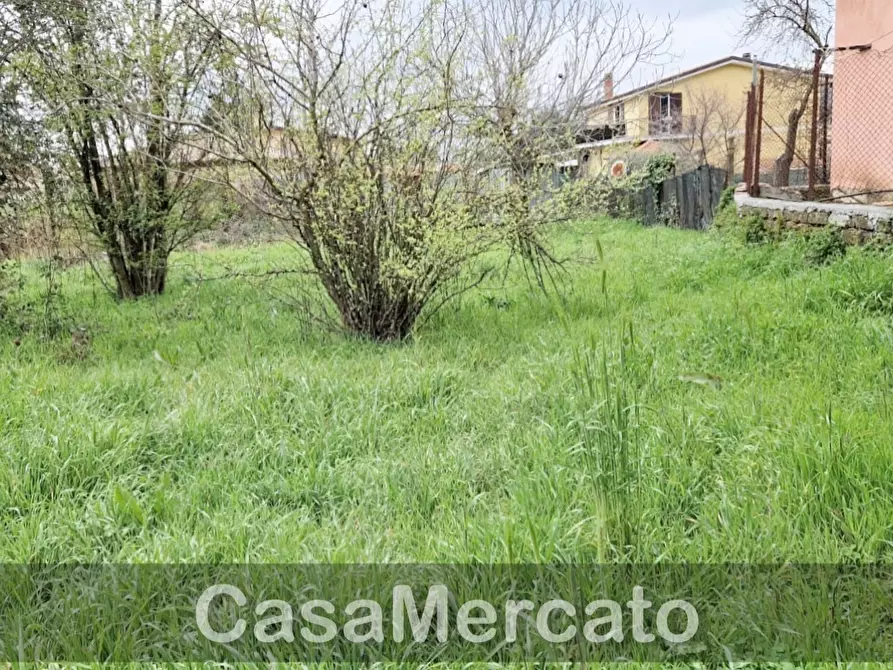 Immagine 9 di Terreno agricolo in vendita  in Via dei Castagni a Rocca Di Papa