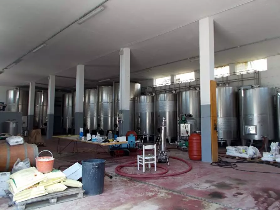 Immagine 10 di Azienda agricola in vendita  a Ripatransone