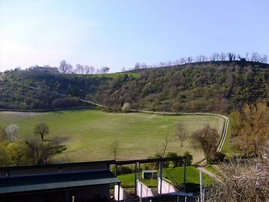 Immagine 2 di Azienda agricola in vendita  in periferia a Petritoli