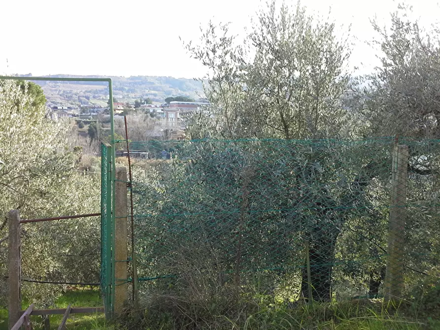 Immagine 29 di Casa indipendente in vendita  a San Benedetto Del Tronto