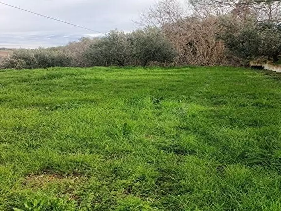 Immagine 10 di Terreno agricolo in vendita  in Contrada Monte Aquilino a San Benedetto Del Tronto