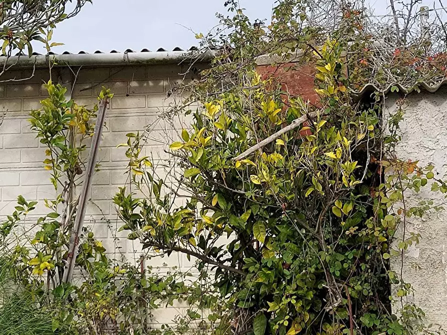 Immagine 9 di Rustico / casale in vendita  a San Benedetto Del Tronto