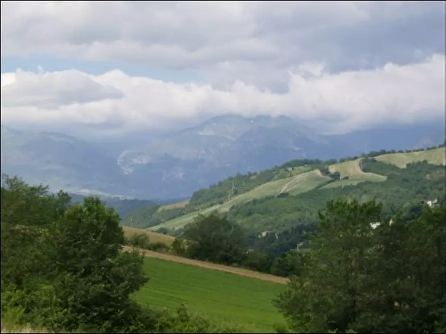 Immagine 5 di Rustico / casale in vendita  a Force