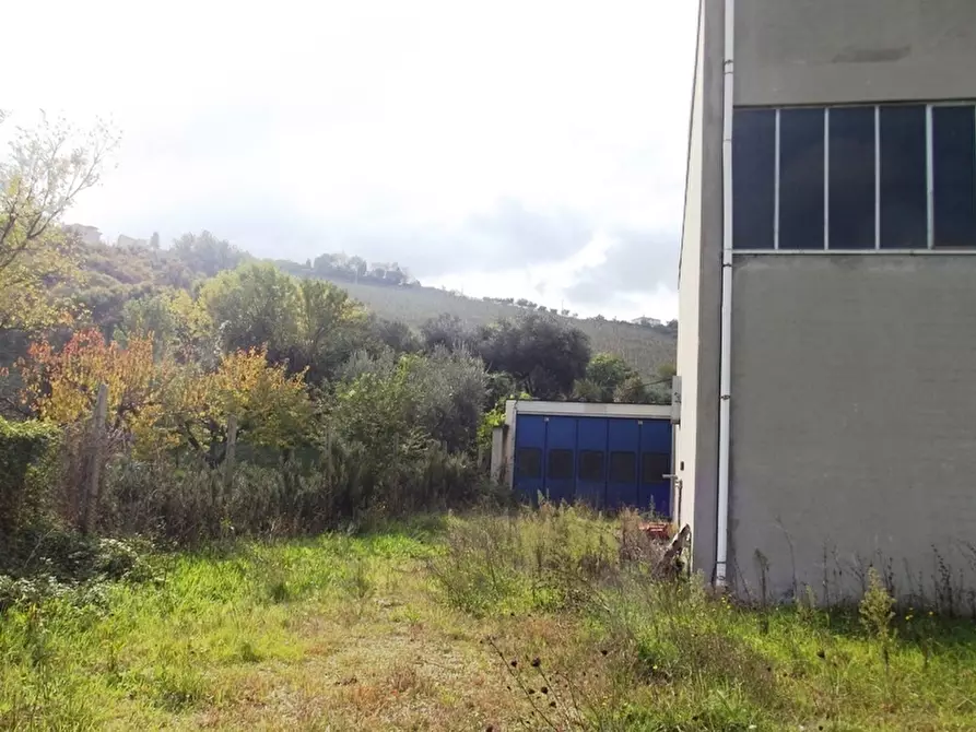 Immagine 24 di Capannone industriale in vendita  a Acquaviva Picena