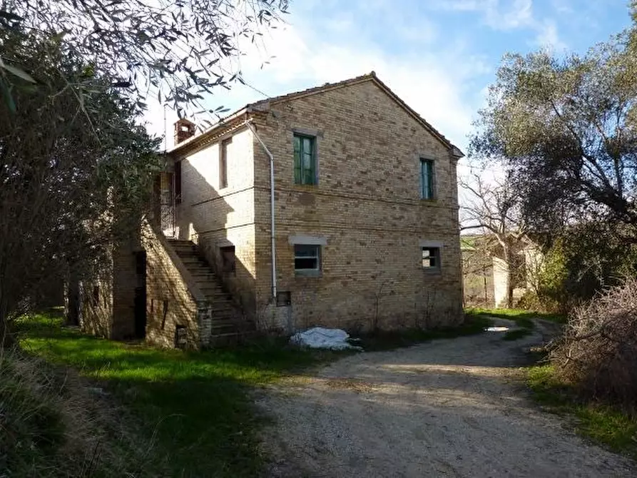 Immagine 19 di Rustico / casale in vendita  a Offida