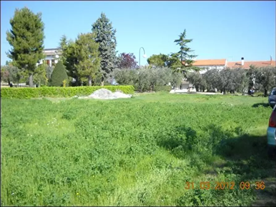 Immagine 3 di Terreno edificabile in vendita  a Castorano