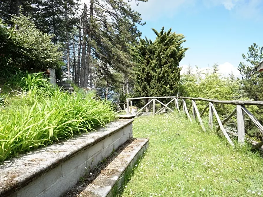 Immagine 44 di Casa indipendente in vendita  a Ascoli Piceno