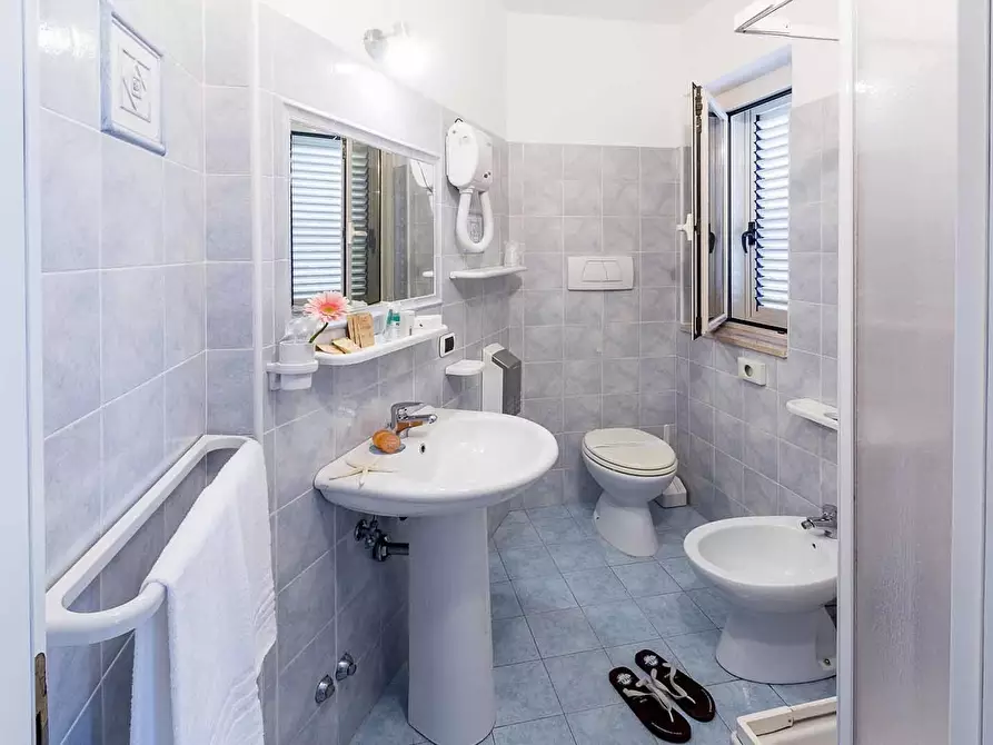 Immagine 19 di Albergo/B&B/Residence in vendita  a Alba Adriatica