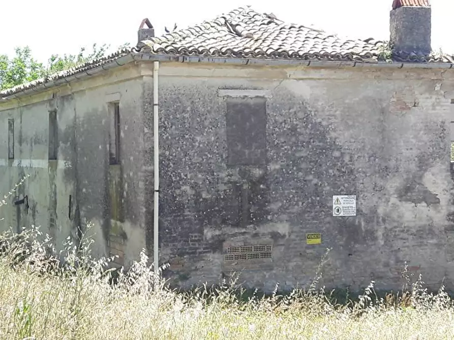 Immagine 7 di Rustico / casale in vendita  in Strada Provinciale 3 868 a Colonnella