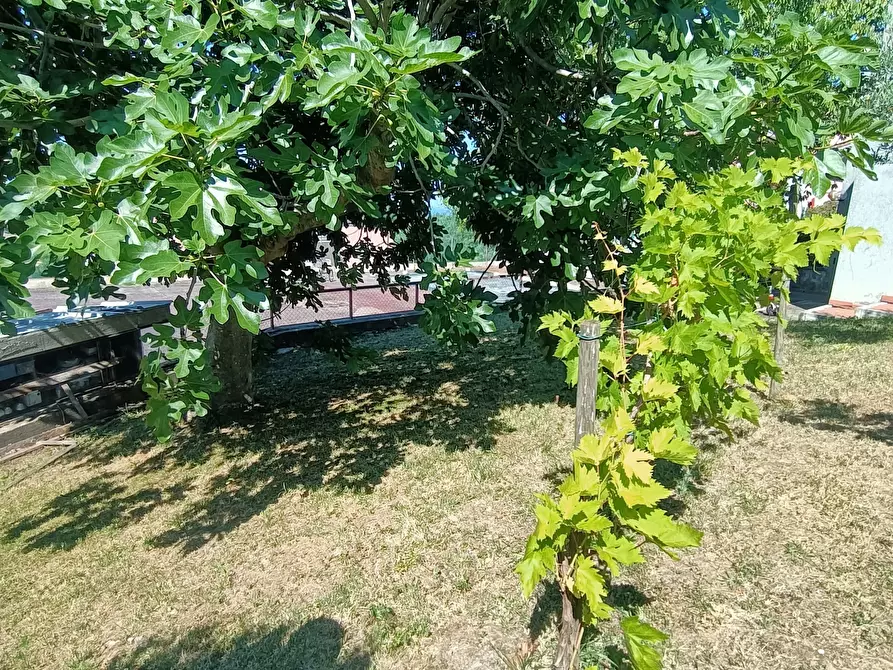 Immagine 53 di Casa indipendente in vendita  a Acquaviva Picena