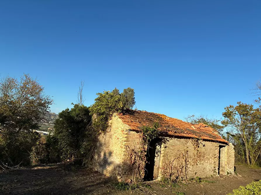 Immagine 9 di Casa indipendente in vendita  a Colonnella