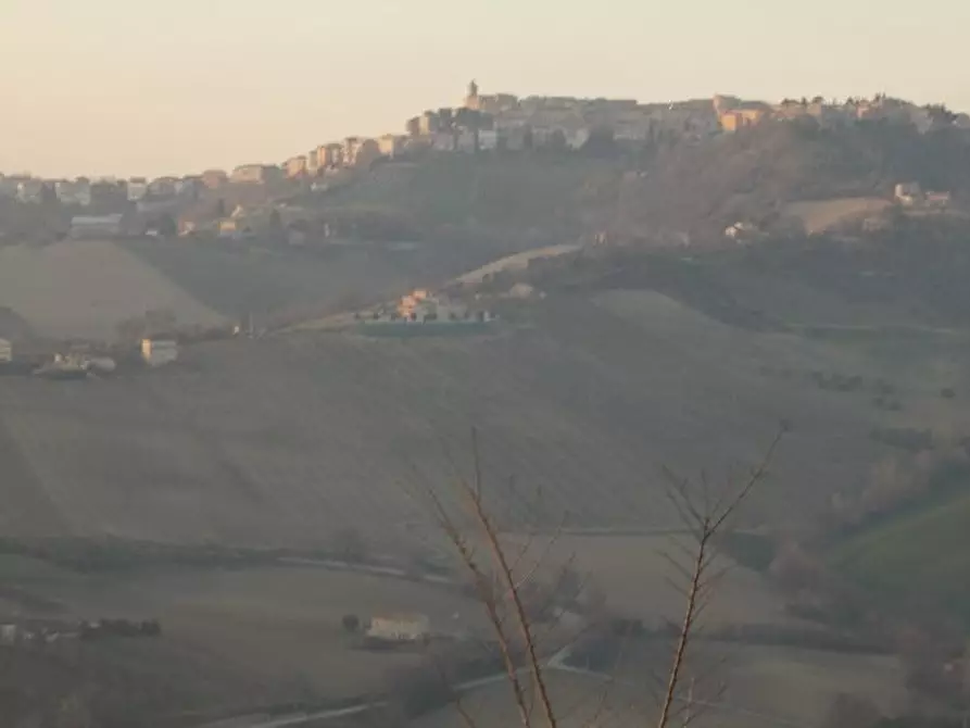 Immagine 2 di Terreno agricolo in vendita  in contrada a Ripatransone
