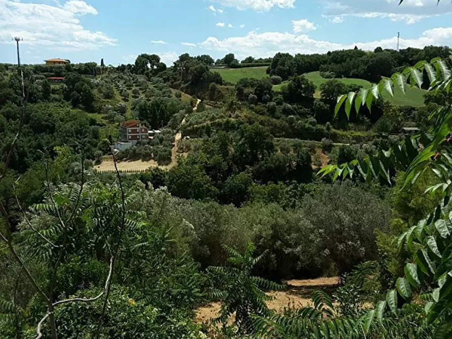 Immagine 8 di Casa indipendente in vendita  a Cupra Marittima
