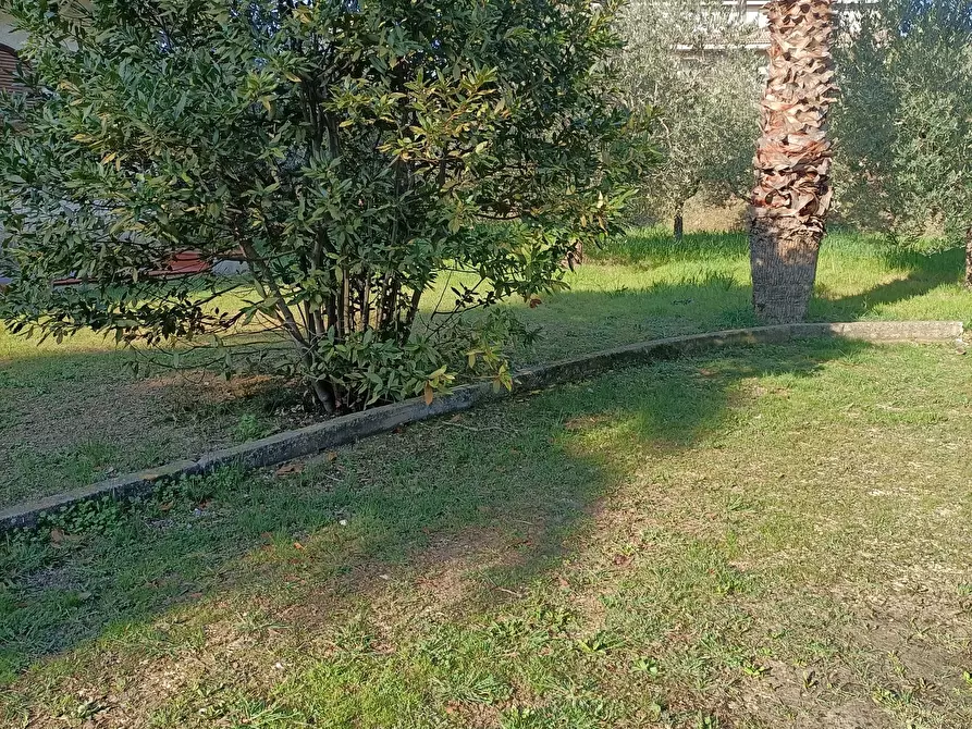 Immagine 28 di Casa indipendente in vendita  a Monteprandone