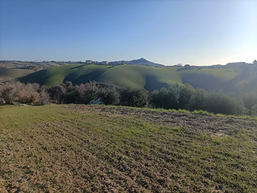 Immagine 27 di Rustico / casale in vendita  a Monsampolo Del Tronto