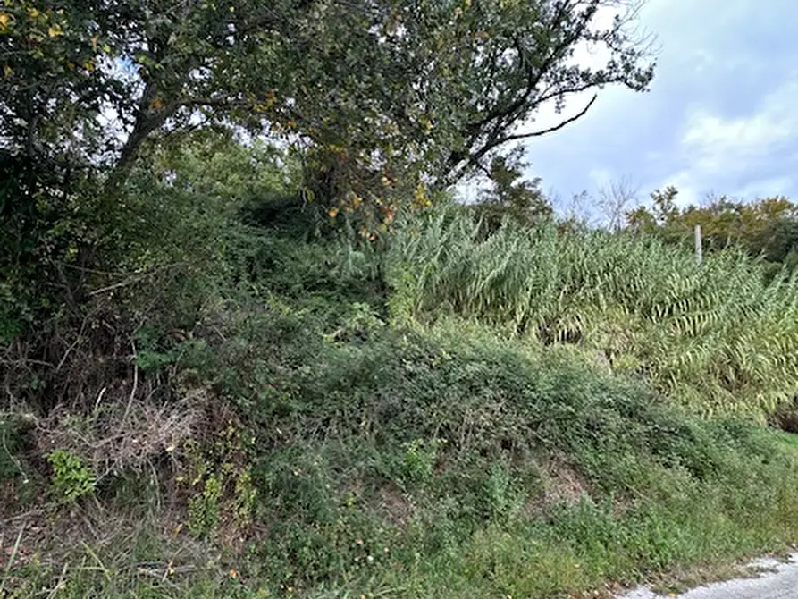 Immagine 15 di Rustico / casale in vendita  a Ripatransone