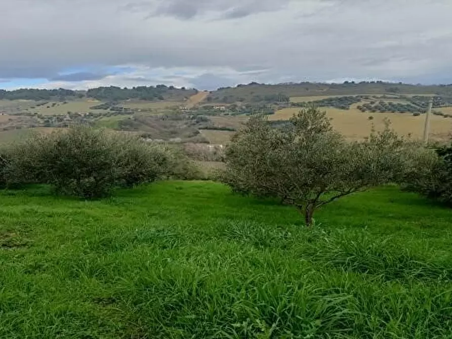 Immagine 8 di Terreno agricolo in vendita  in Contrada Monte Aquilino a San Benedetto Del Tronto