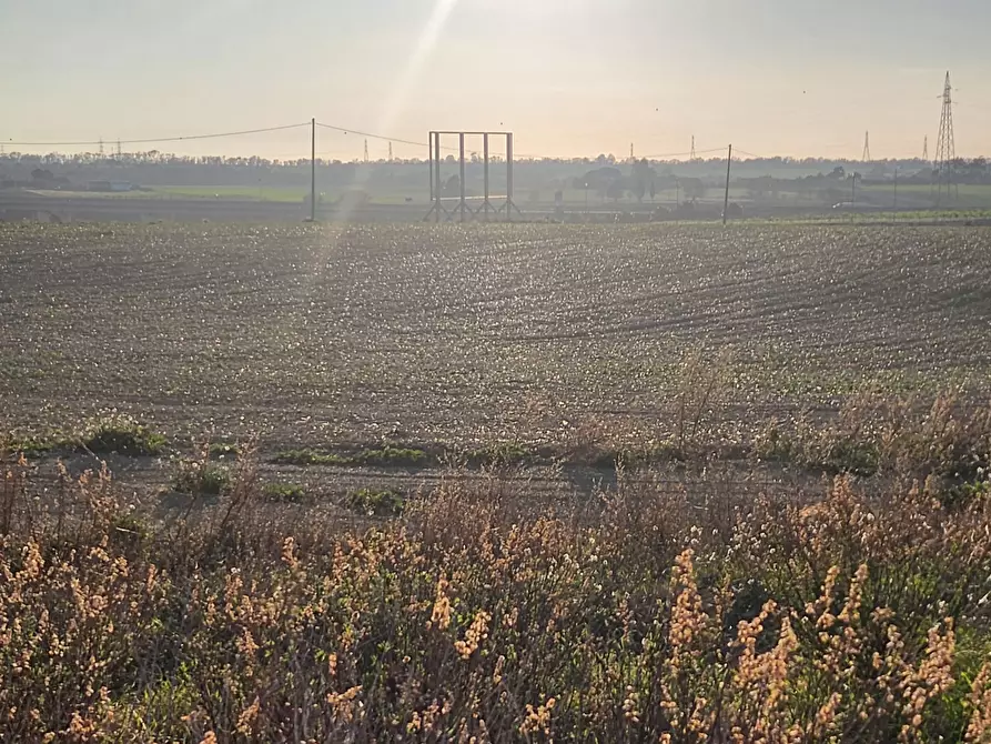 Immagine 14 di Terreno industriale in vendita  a Tarquinia