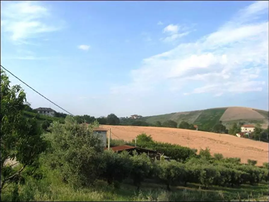 Immagine 11 di Rustico / casale in vendita  a Offida