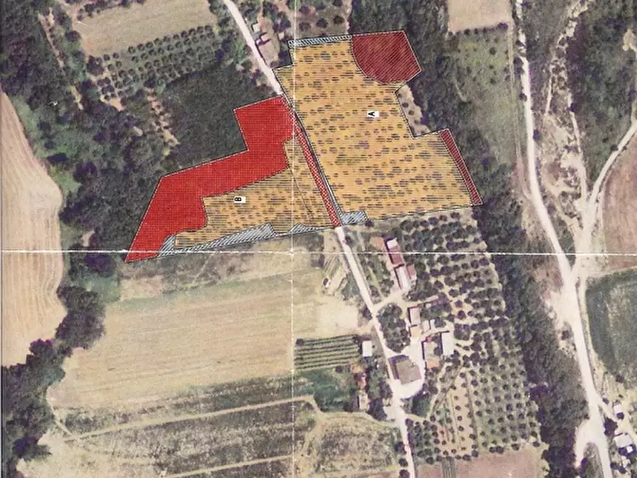 Immagine 23 di Rustico / casale in vendita  in Contrada Montecamauro a Campofilone