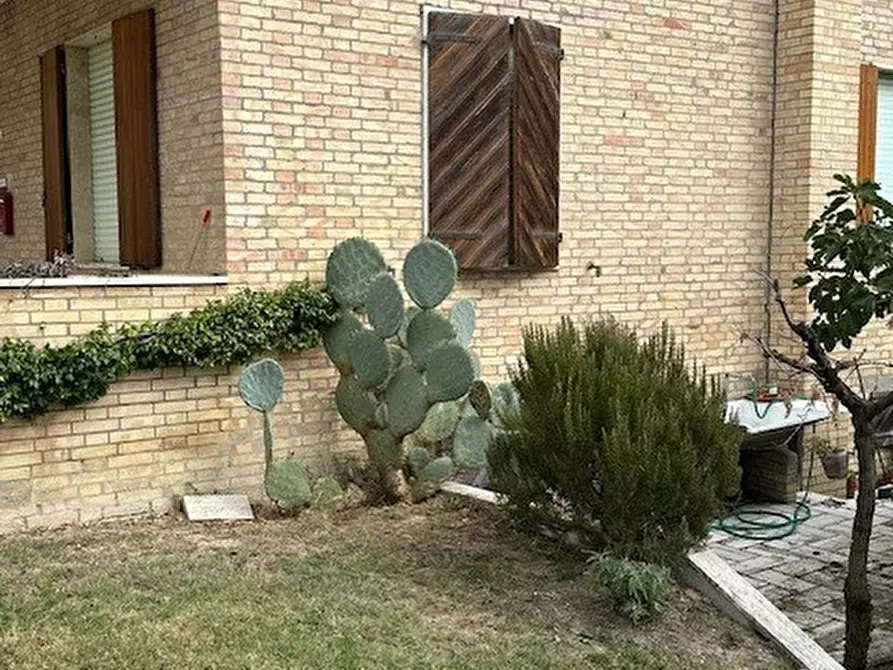 Immagine 10 di Casa bifamiliare in vendita  a Carassai