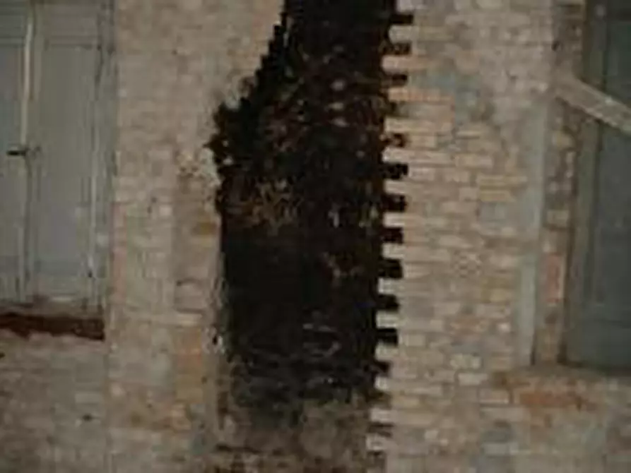 Immagine 34 di Casa indipendente in vendita  a Fermo