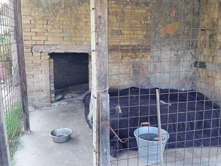 Immagine 17 di Casa indipendente in vendita  a Offida