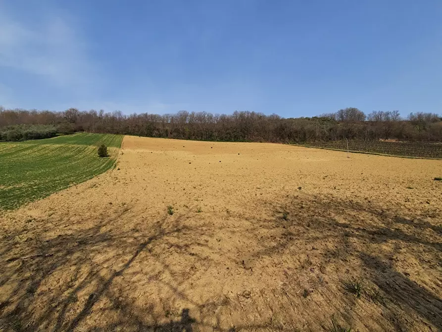 Immagine 28 di Casa indipendente in vendita  a Ripatransone