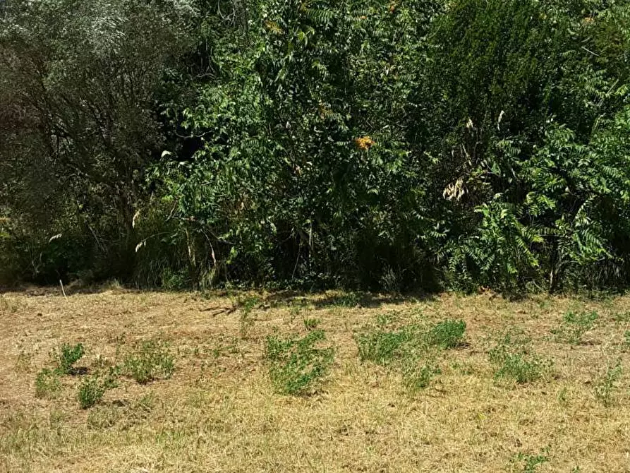 Immagine 5 di Casa indipendente in vendita  a Cupra Marittima