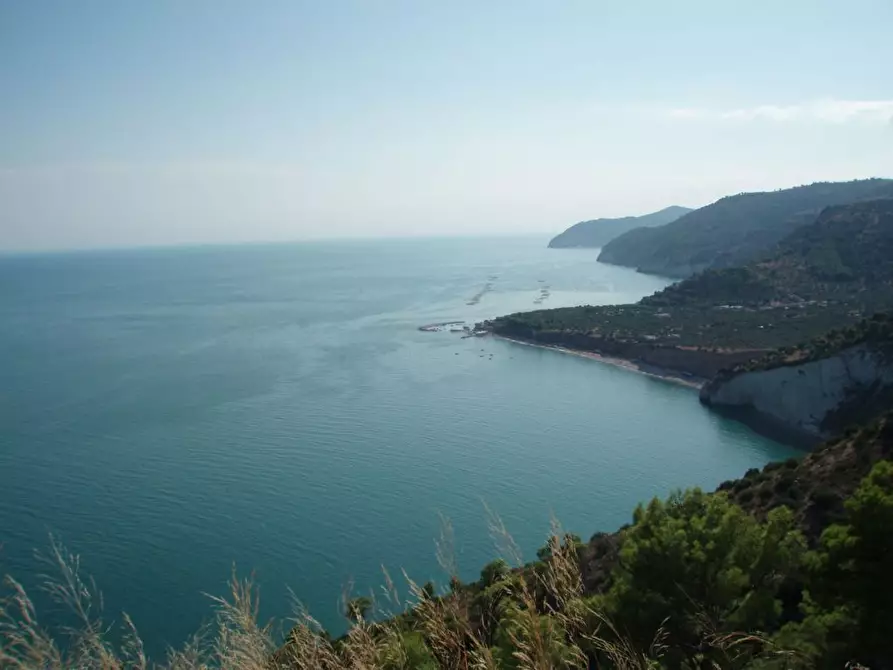 Immagine 13 di Terreno agricolo in vendita  a Mattinata