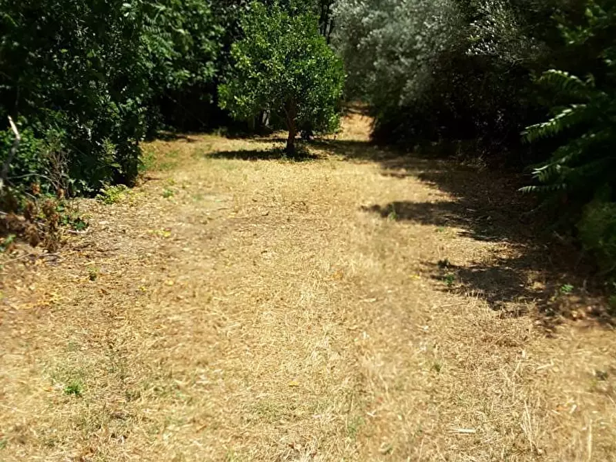 Immagine 16 di Casa indipendente in vendita  a Cupra Marittima