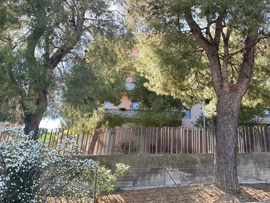 Immagine 56 di Casa indipendente in vendita  a Acquaviva Picena