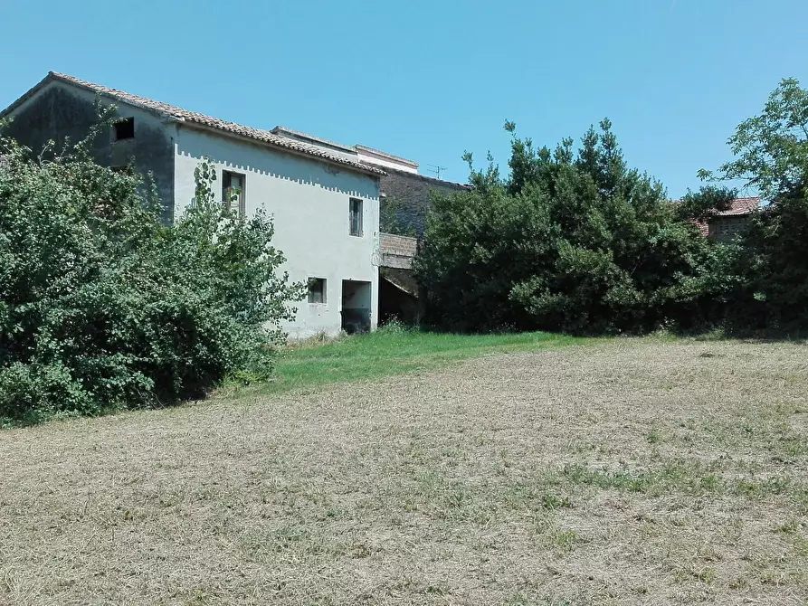 Immagine 4 di Casa indipendente in vendita  a Controguerra