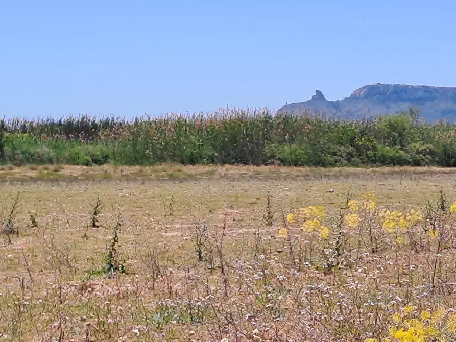 Immagine 15 di Terreno agricolo in vendita  a Quartu Sant'elena
