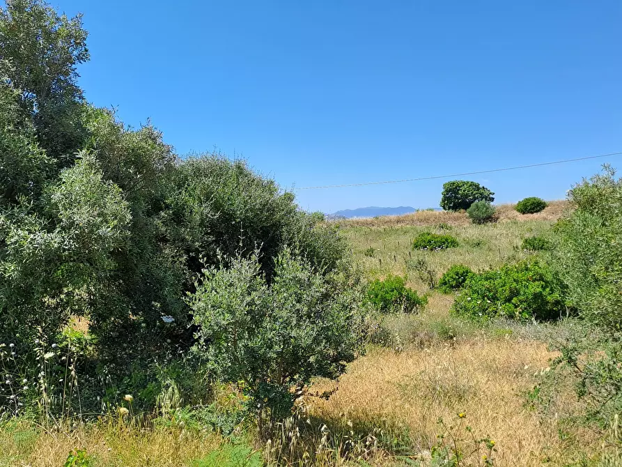 Immagine 9 di Terreno agricolo in vendita  a Settimo San Pietro