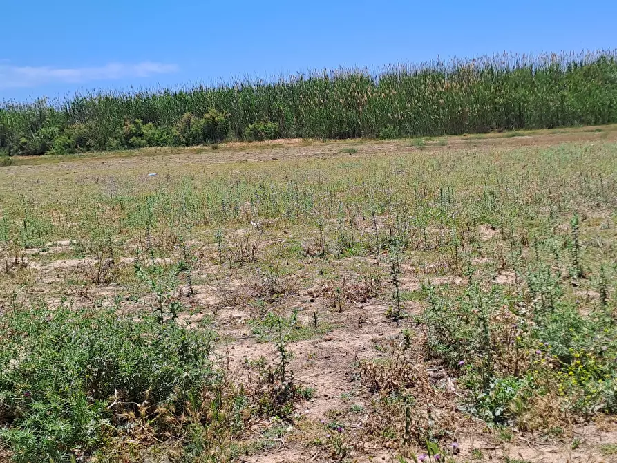 Immagine 16 di Terreno agricolo in vendita  a Quartu Sant'elena