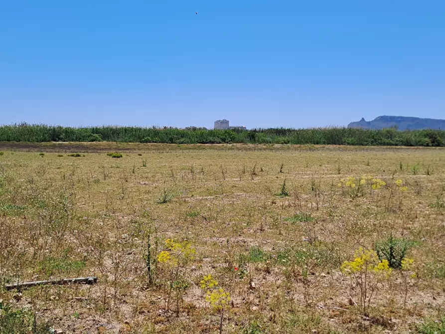 Immagine 13 di Terreno agricolo in vendita  a Quartu Sant'elena
