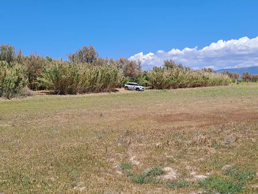 Immagine 6 di Terreno agricolo in vendita  a Quartu Sant'elena