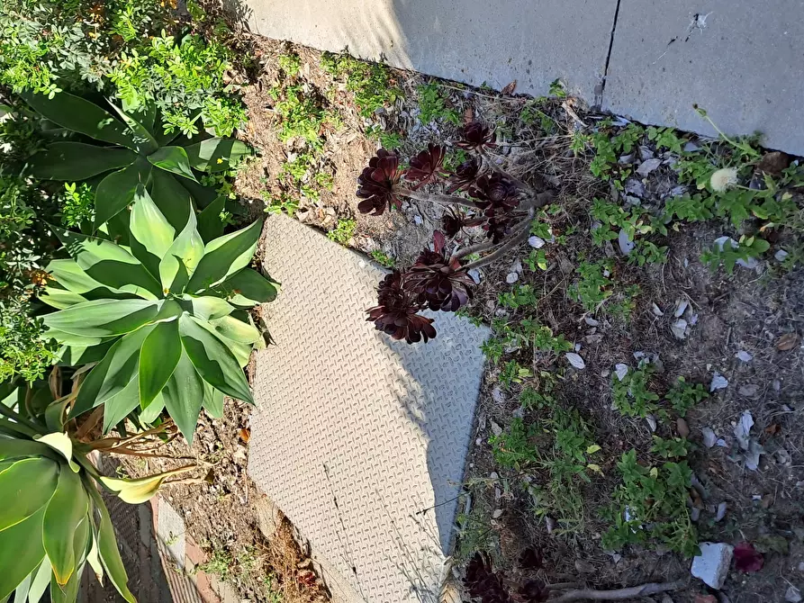 Immagine 3 di Attività artigianale in vendita  a Quartu Sant'elena