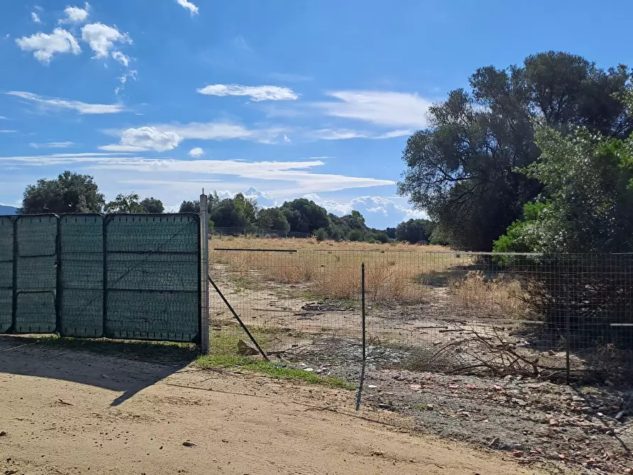 Immagine 4 di Terreno agricolo in vendita  a Quartucciu