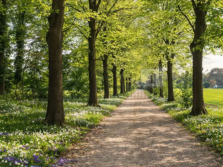 Immagine 21 di Rustico / casale in vendita  in Via Cà Storta 1 a Longare