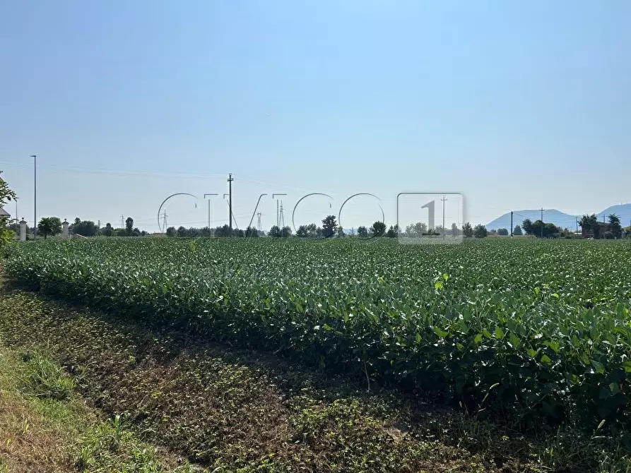 Immagine 21 di Terreno agricolo in vendita  in Via Volpara a Castegnero