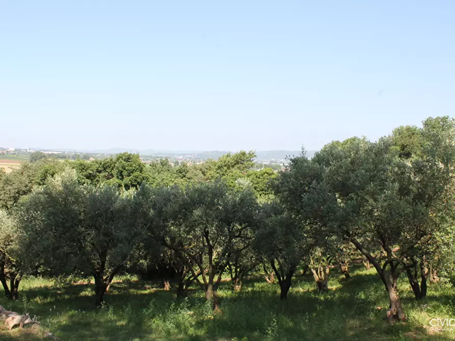 Immagine 13 di Casa indipendente in vendita  a Brendola